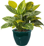 Sunnydaze Chalet Large Ceramic Plant Pot - Round Outdoor Glazed Ceramic Planter Pot with Drainage - Dark Green - 14.5"