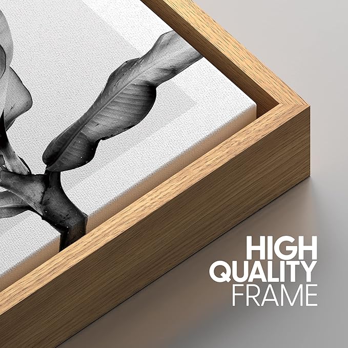 SIGNWIN Framed Canvas Print Wall Art Trio of Jungle Palms & Snake Succulents Floral Plants Photography Modern Art Minimalist Black and White for Living Room, Bedroom, Office - 24"x36"x3 Natural