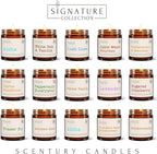 Aloha Scented Candle, Many Scents to Choose from, All Natural Non-Toxic Soy Wax, Handmade in The USA(Aloha)