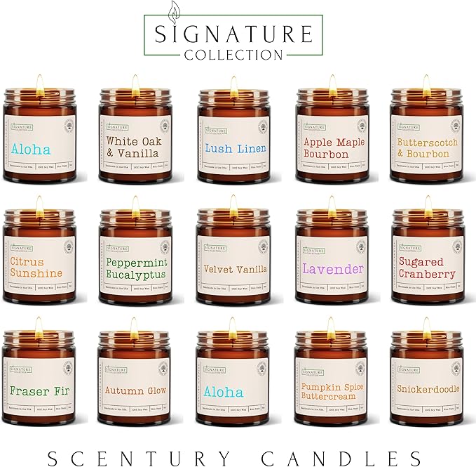 Sugared Cranberry Scented Candle, Many Scents to Choose from, All Natural Non-Toxic Soy Wax, Handmade in The USA (Sugared Cranberry)