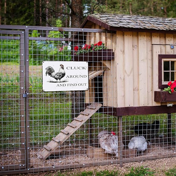 Funny Chicken Coop Sign "Cluck Around & Find Out" Vintage Metal Tin Sign 8x12 Inch - for Farmhouse Kitchen Decor,Chicken Coop Accessories,Barn,Rustic Home & Garden Wall Art with Hanging Holes