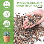 5lbs Small Rocks for Terrarium, Planters Drainage, 1/5 Inch Lava Rock for Bonsai Tree, Decorative Gravel for Succulents, Bamboo, Cactus, Mixed Color