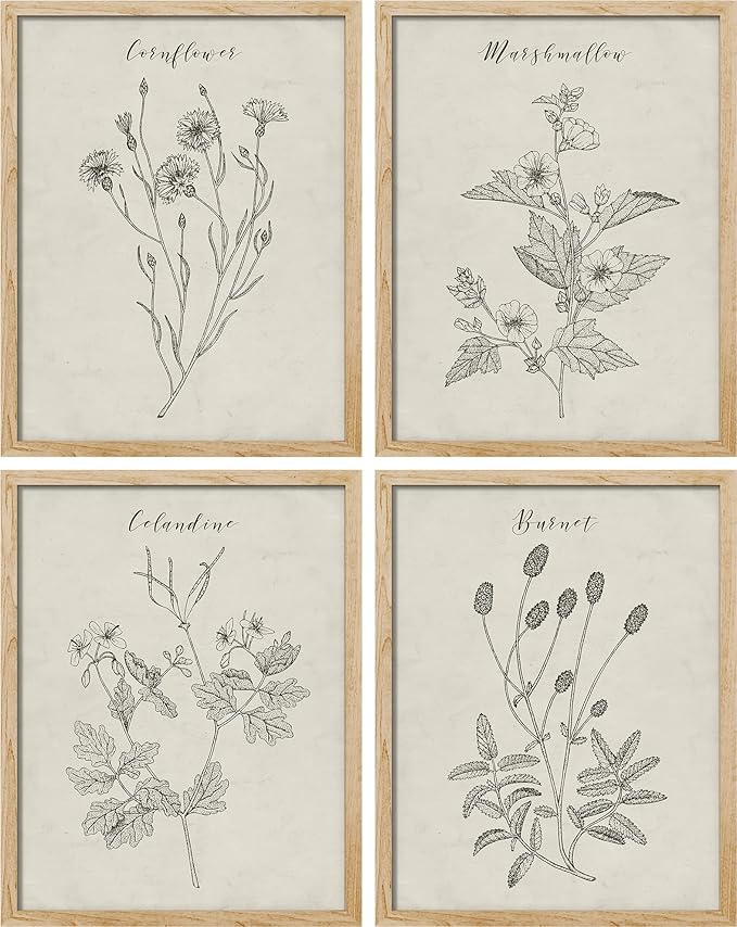 SIGNWIN Framed Vintage Wildflower Wall Art, Set of 4 Plant Drawing Wall Decor Prints, Nature Wilderness Wall Décor for Living Room, Bedroom - 11"x14" Natural