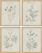 SIGNWIN Framed Vintage Wildflower Wall Art, Set of 4 Plant Drawing Wall Decor Prints, Nature Wilderness Wall Décor for Living Room, Bedroom - 11"x14" Natural