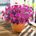 Hibiscus Artificial Flowers Plants for Outdoors Decor, 6 Bundles Silk Hibiscus Bouquet Tropical Flowers Artificial Realistic UV Resistant Fake Flowers for Outside Planter Porch Patio Balcony, Fuchsia