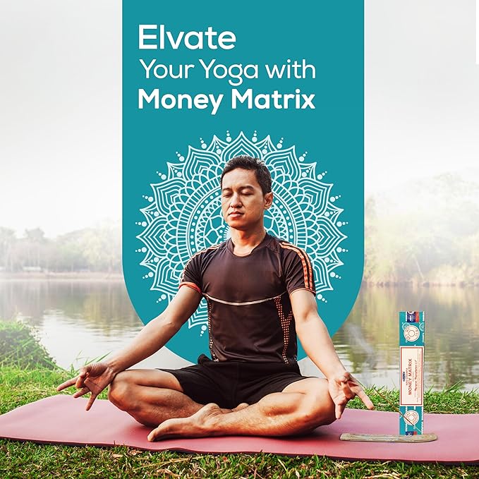 Satya Money Matrix Incense Sticks 180 gm (15GM X 12 Pack) from Satya Mumbai and Raajsee Incense Sticks Holder Bundle, Free from Chemicals,Natural Insenses