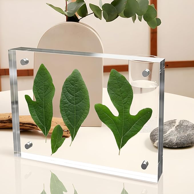 5x7 Inches Acrylic Picture Frames 3 Pack, Double Sided Magnetic Photo Frames,Free Standing on Desk or Table Clear Picture Frames