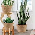 4 Pcs Large Premium Seagrass Planter Basket with Plastic Lining Natural Stylish Planter Baskets Indoor Outdoor Plants Woven Wicker Baskets for Plants Flower Pots Cover and Room Decor(10.2x7.5x7.5")