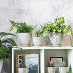 4 Inch Mini Plant Pots, Ceramic Succulent Planter with Drainage Hole and Saucers for Indoor Plants, Small Garden Pots for Succulent, Herb and Flower, Set of 4