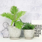 8 Inch + 6 Inch Retro Ceramic Planter Set of 2 with Drainage Hole and Saucer for Multiple Plants, Indoor-Outdoor Garden Pots for Succulent, Orchid, and Flower (Retro White)