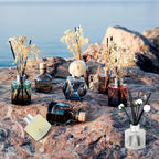 Brakula Reed Diffuser Cashmere Vanilla Scented， Reed diffusers for Home， Home Fragrance Diffuser with 7 Reed Sticks for Room/Bathroom Decor 3.38 fl oz (Cashmere Vanilla)