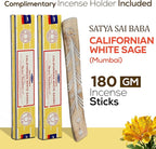 Satya Californian White Sage Incense Sticks 180 gm (15GM X 12 Pack) from Satya Mumbai and Raajsee Incense Sticks Holder Bundle, Free from Chemicals,Natural Insenses