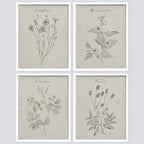 SIGNWIN Framed Vintage Wildflower Wall Art, Set of 4 Plant Collage Drawing Wall Decor Prints, Nature Wilderness Wall D¨¦cor for Living Room, Bedroom - 12"x16" White