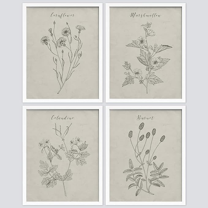SIGNWIN Framed Vintage Wildflower Wall Art, Set of 4 Plant Collage Drawing Wall Decor Prints, Nature Wilderness Wall D¨¦cor for Living Room, Bedroom - 12"x16" White