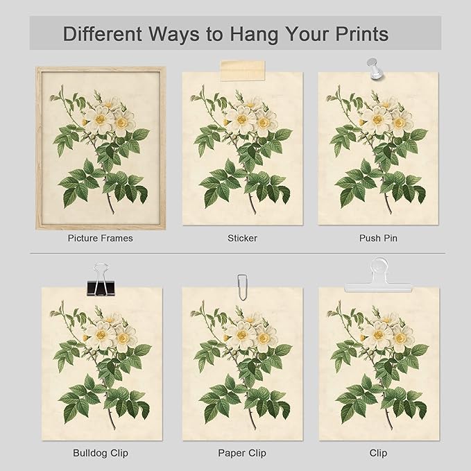 SIGNWIN Poster Bathroom Decor 11"x14", Wall Art Room Decor Multicolor for Living Room, Bedroom, Office Vintage Colorful Wildflower Variety Nature Wilderness Plant Art Floral Botanical