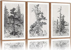 SIGNINART Vintage Tree Framed Wall Art Set , Black and White Antique Sketchbook Forest Painting, Wilderness Illustration Art Print , Retro Pine Tree Landscape Drawing Wall Decor for Living Room, Bedroom, Office (16"x24"x3)