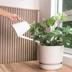 Elly Décor 8 inch Plastic Cylinder Planter Pot with Self-Watering Saucer and Drainage Hole,Lightweight & Extremely Durable, 8"x 8", Ivory