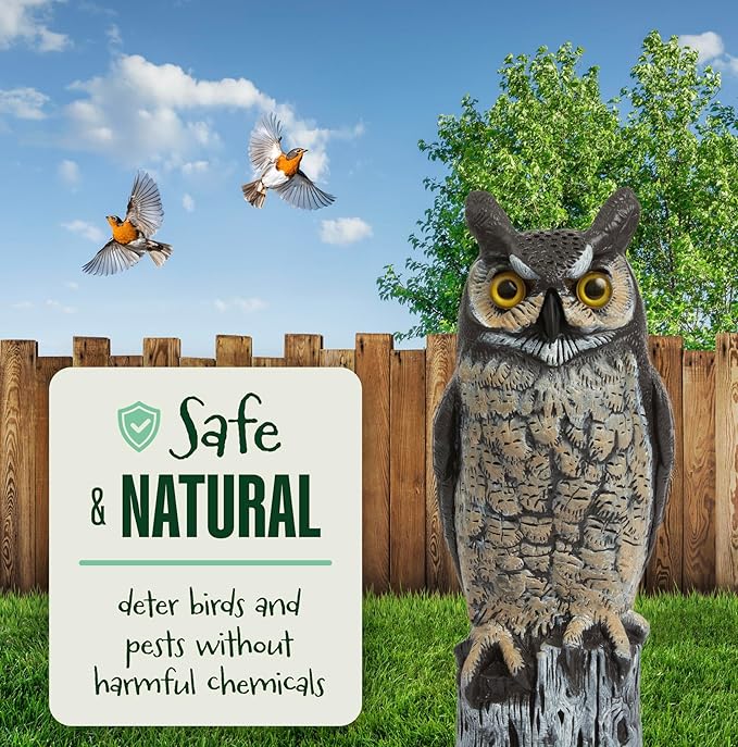 Dalen Large Fake Owl Decoy to Scare Birds Away - Garden Scarecrow Provides Natural Pest Control - 16" Tall - Great Horned Owl