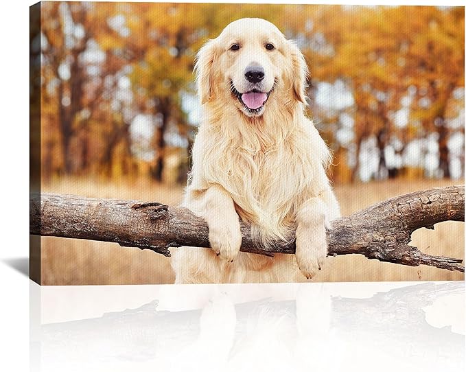 Custom Canvas Prints with Your Photos Personalized Photo Canvas Print Wall Art Customized Canvas Picture Frame Gifts for Pet Baby Family Mom Dad Men Women Couple Boyfriend Girlfriend Framed 40x28