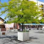 Galvanized Steel Black Planter Box Square 27.6 in Metal Large Planter Box Outdoor Indoor Huge Cube Heavy Duty Flower Pot Modern Commercial Residential for Patio, Deck, Yard, Garden