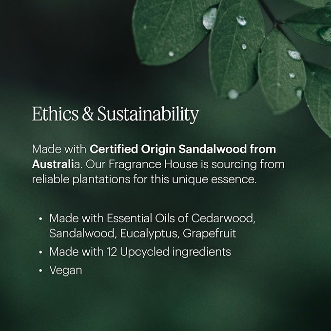 Aera Palo Santo - Essential Oil for Home - Purifying and Cleansing Fragrance - Notes of Palo Santo, Juniper and Peru Balsam - Scent Refill - Works with The Aera Diffuser