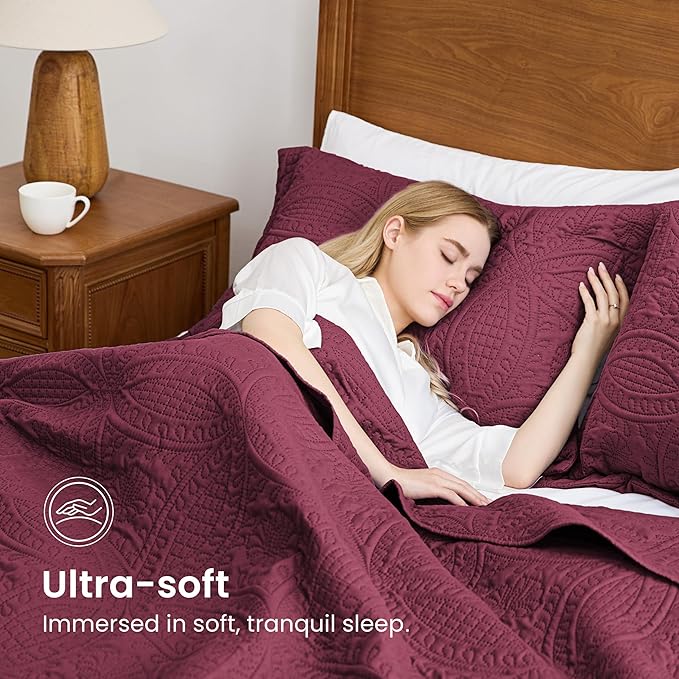 Love's cabin Quilts for Queen Bed Burgundy Bedspreads Bedding Set - Lightweight Bedspread Comforter - Coin Pattern Bedding Coverlet for All Season - 3 Pieces (1 Quilt, 2 Pillow Shams)