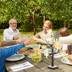 Coume Money Tree Gift Card Holder 1.5 ft Tabletop Display Tree with 72 LED Lights 15 Clear Clips Silver Display Birch Twig for Money Wedding Card Photo Birthday Fall Thanksgiving Halloween Christmas