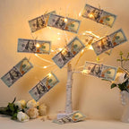 Money Tree Gift Card Holder 24 LED Birch Twig Treelights Battery/USB Powered Light Up Display Twig Gift Card Holder with 22 Clear Clips for Graduation Birthday Wedding Photo (Warm Color)