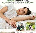 Satya Spicy Patchouli Incense Sticks 180 gm (15GM X 12 Pack) from Satya Sai Baba Nag Champa and Raajsee Incense Sticks Holder Bundle, Free from Chemicals,Natural Insenses