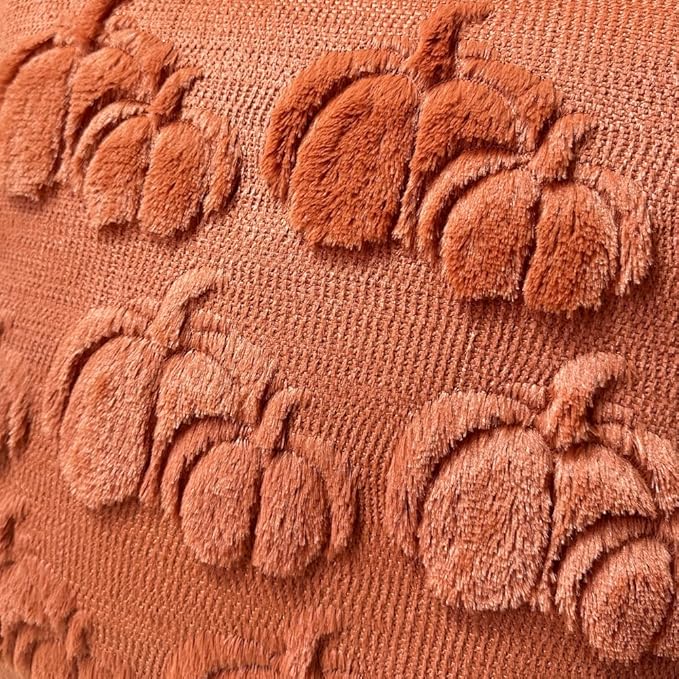 Booque Valley Fall Decorative Pillow Covers Set of 2 20"x20" Soft Plush Faux Fur Wool 3D Rust Pumpkin Throw Pillowcases for Autumn Thanksgiving Harvest Decor, Rust Red