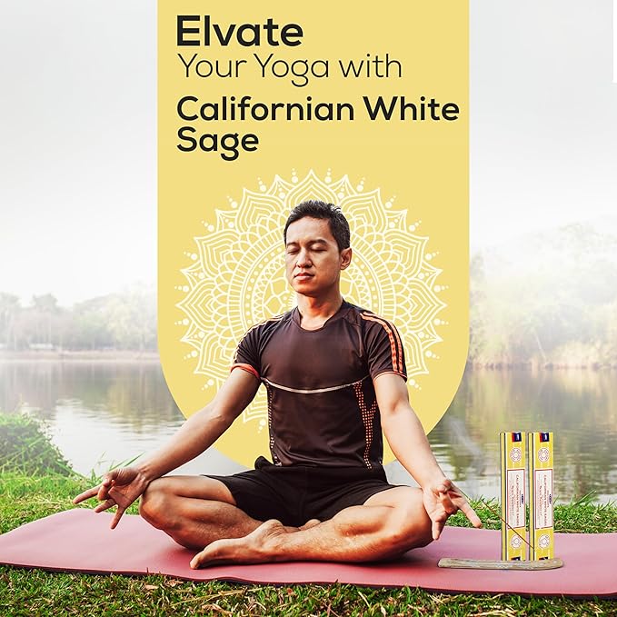 Satya Californian White Sage Incense Sticks 180 gm (15GM X 12 Pack) from Satya Mumbai and Raajsee Incense Sticks Holder Bundle, Free from Chemicals,Natural Insenses