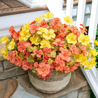 Fall Flowers Fake Flowers Mums for Outdoors Autumn Decoration, 6 Bundles Artificial Flowers Faux Silk Plants Realistic UV Resistant for Outside Planter Patio (Fall Yellow Orange)