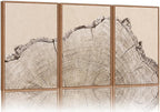 SIGNINART Large Tree Ring Framed Canvas Wall Art Set, Rustic Beige Wooden Wall Decor, Neutral Nature Wood Stump Artwork, Modern Art Prints for Bedroom Living Room Office 24"x36"x3