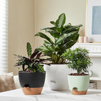 FaithLand 3-Pack Planter Pots, 10 9 8 Inch Self Watering Flower Pots for Indoor Outdoor Garden Plants, Black with Brown