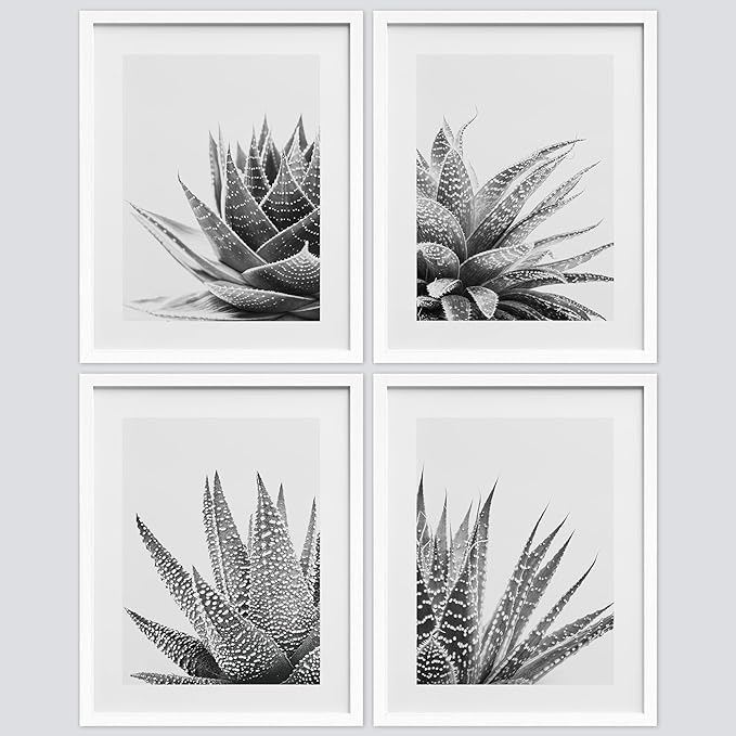 SIGNWIN Framed Black White Snake Plant Agave Cactus Succulent Wall Art, Set of 4 Floral Botanical Wall Decor Prints, Nature Wilderness Wall Décor for Living Room, Bedroom - 8"x10" White