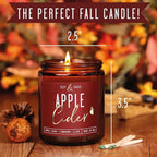 Apple Cider Candle, Fall Candles I Apple Cider, Cinnamon & Nutmeg - Infused with Essential Oils I Mulled Cider Fall Scented Candle (Soy) for Home I 9oz Reusable Jar I 50Hr Burn I Made in USA