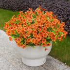 Fake Mums Artificial Outdoor Flowers 12 Bundles Autumn Fall Plants Daisy Faux Orange Blooms for Front Porch Window Box Patio Table Centerpieces Decor(Orange Daisy)