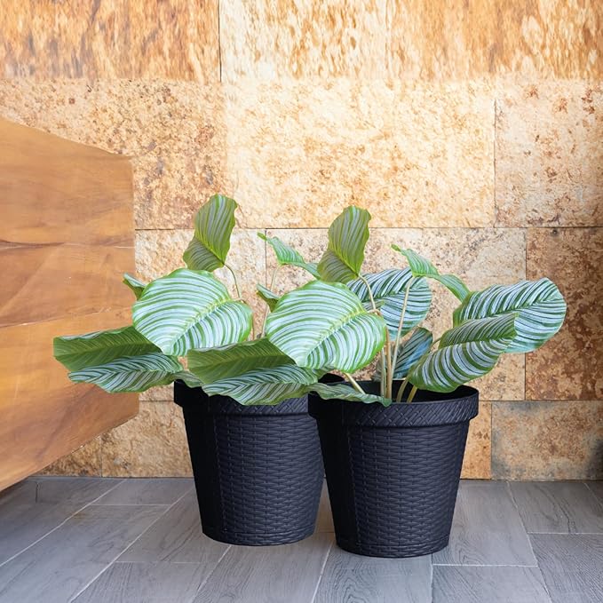 Elly Décor Set of 2 12 inch Round Saucer Modern Self Watering Planter Plates, Pots with Rattan-Like Finish, 12x12 Gray