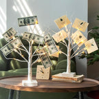 PABIPABI Money Tree Gift Holder, Set of 2 Birch Tree with 12 Clear Clips, Battery/USB Powered Timer Tabletop Trees for Home Party, Christmas, Wedding, Birthday Graduation (Warm White)