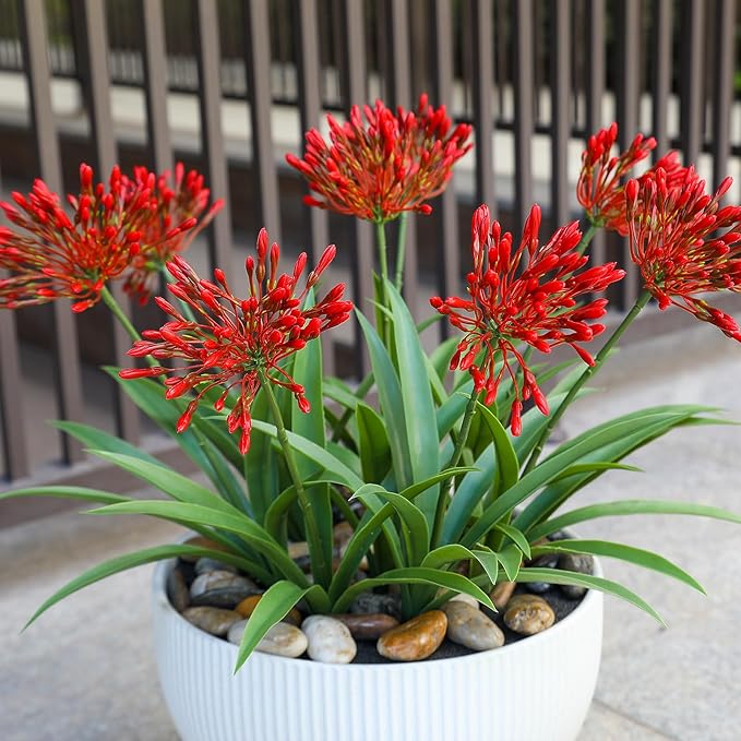 Artificial Flowers for Outdoors 18.9 in Large Fake Plants Outdoor Red Flower Agapanthus Spring Summer Decoration Outside for Front Porch Garden Window Box Decortion