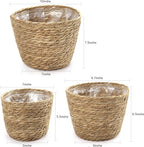 Athaliah Plant Basket, 3 PCS Plant Baskets Indoor with Plastic Liner, Water Hyacinth Woven Planters Flower Basket, Planter Basket for Rustic Boho Home Farmhouse Floor Potted Pots Decor