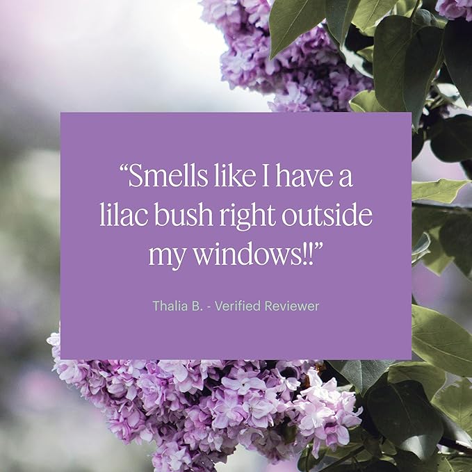 Aera Lilac Daydream Home Fragrance Scent Refill - Notes of Dewy Leaves and Spring Blossoms - Works with The Aera Diffuser