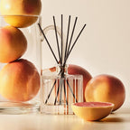NEST New York Reed Diffuser, Grapefruit - 5.9 fl oz - Fragrance for Up to 90 Days - Reusable, Refillable Glass Holder - Includes 8 All-Natural Reed Sticks - Flame Free