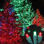 100 Count Red and Green - String Lights - 21.6FT LED Christmas Lights, Mini led Lights for Indoor Outdoor Home Holiday Party Wedding Independence Day Decoration