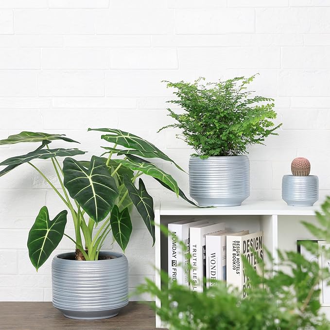 8 Inch + 6 Inch Ceramic Plant Pots Indoor with Drainage – Flower Pot Set, Decorative Indoor Planters for House Plants and Garden Use