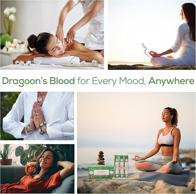 Satya Patchouli Incense Sticks, Satya Bng (Bangalore) Insenses 15gmx12 Pack with Raajsee Incense Holder Bundle, Satya Nagchampa Natural Incense