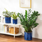 vancasso Ceramic Planters, Plant Pots for Indoor Plants, 6.25+8.25+10.25 Inch Ceramic Pots for Plants, Flower Pots with Drainage Holes (Blue, 6.25+8.25+10.25 Inch)