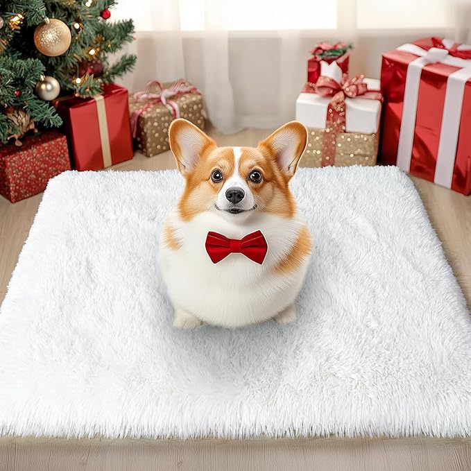 Small Rugs for Bedroom, 2x3 Fluffy Rug, Non-Slip Shag Soft Area Rug, Fuzzy Carpet for Kids Girls Boys, Modern Home Decor Aesthetic, Cream White