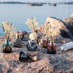 Brakula 2 Pack Reed Diffuser, Fresh Linen + Eucalyptus & Wild Mint (3.38 fl oz Each Pack), Home Fragrance with 12 Sticks, Shelf Decor, Reed diffusers for Home