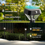 XMCOSY+ Smart Solar Lights Outdoor with Motion Sensor, 150LM APP Control RGBCW Color Changing Garden Lights Solar Powered for Yard Pathway Landscape, Waterproof, 4 Pack